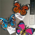 Набор магнит- бабочка для вышивки стразами «Алая Изабель (Delias Argenthona)»